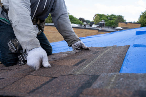 Sealant for Roof in Carnesville, GA