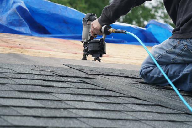 Best Gutter Installation and Roofing  in Carnesville, GA