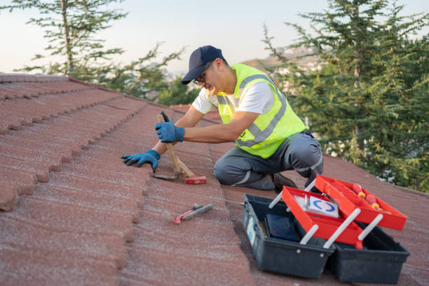 Best Commercial Roofing Services  in Carnesville, GA