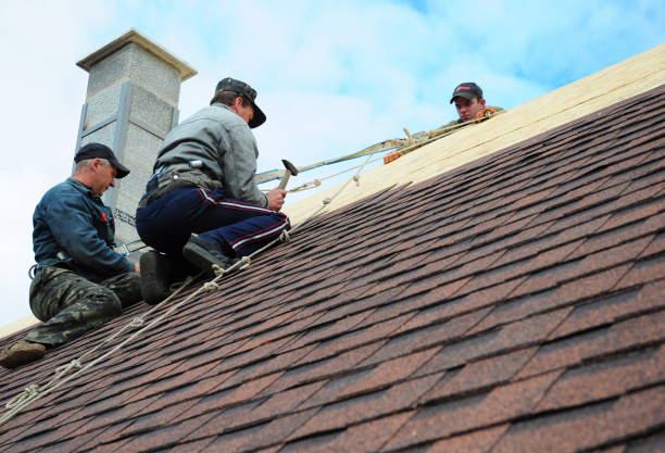 Trusted Carnesville, GA Roofing Contractor Experts